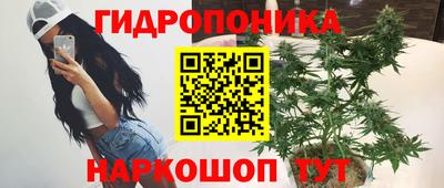 гидра Лесосибирск