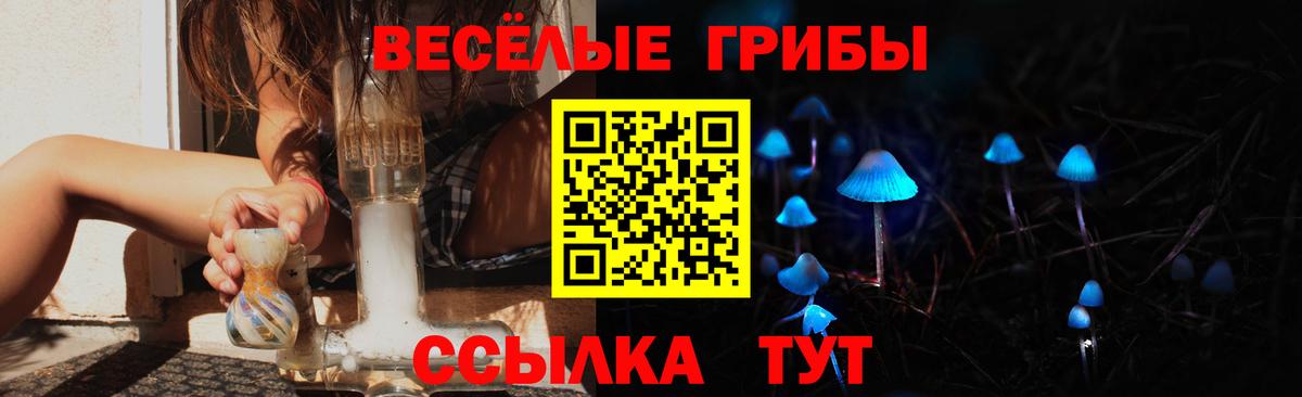Галлюциногенные грибы Psilocybine cubensis Грозный